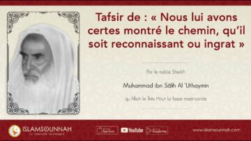 Privé : [ID: niOtIlZ1TaI] Youtube Automatic