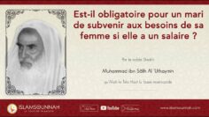 Privé : [ID: V4El85WhyzQ] Youtube Automatic