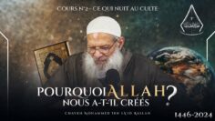 Privé : [ID: ddsz8dPeE8Q] Youtube Automatic