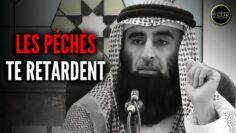 Privé : [ID: us0xVDJOymQ] Youtube Automatic