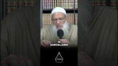 Privé : [ID: of5nvCApKXc] Youtube Automatic