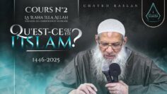 Privé : [ID: UMq2hS-5ao8] Youtube Automatic