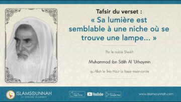 Privé : [ID: 2opw2UmcpvE] Youtube Automatic