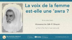 Privé : [ID: 4tvYZMrfeX4] Youtube Automatic