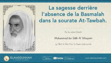 Privé : [ID: AmsQ55Q7cc8] Youtube Automatic