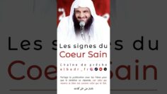 Privé : [ID: E4V0x0k5gy4] Youtube Automatic