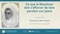 Privé : [ID: w4J4-n_tQAw] Youtube Automatic