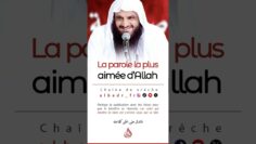 Privé : [ID: 2uwgejPJ_Fo] Youtube Automatic