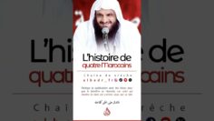 Privé : [ID: DhyLKqUhFjo] Youtube Automatic