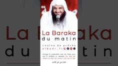 Privé : [ID: fV6c4117S4c] Youtube Automatic