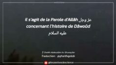 Privé : [ID: HIy8efAn03k] Youtube Automatic