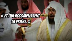 Privé : [ID: M6omD3hiOpk] Youtube Automatic