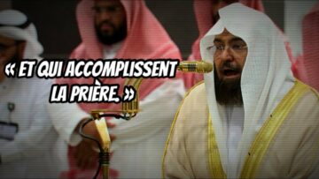 Privé : [ID: M6omD3hiOpk] Youtube Automatic