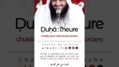 Privé : [ID: qS8DASnm6-o] Youtube Automatic