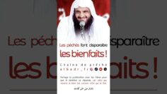 Privé : [ID: scUWELzC_XM] Youtube Automatic