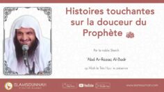 Privé : [ID: wWlOjuVvBWY] Youtube Automatic