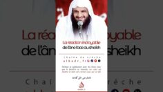 Privé : [ID: kcSxAlmQOhA] Youtube Automatic