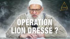 Privé : [ID: WvC6TqYjfeo] Youtube Automatic