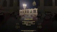 Privé : [ID: _OI_7PefWpc] Youtube Automatic