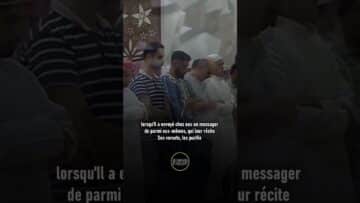 Privé : [ID: 56GbkWo7W88] Youtube Automatic