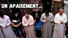 Privé : [ID: 9kLuGXsKVMU] Youtube Automatic