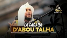 [ID: alwbjDR-TGY] Youtube Automatic