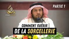 [ID: mZOoSJ8KWoE] Youtube Automatic