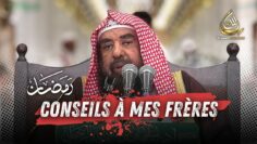 [ID: nOcTcGRUN-E] Youtube Automatic