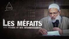 Privé : [ID: ADMxu78zS_g] Youtube Automatic