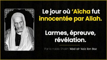 Privé : [ID: FuvfkNNHh_c] Youtube Automatic