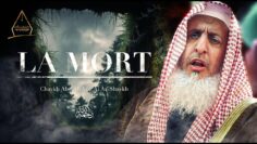 Privé : [ID: r5yfbK7TeWU] Youtube Automatic