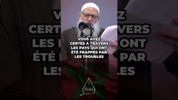 Privé : [ID: 3w1h598efMU] Youtube Automatic