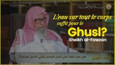 Privé : [ID: hN-zgaVEd-M] Youtube Automatic