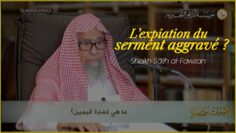 Privé : [ID: MPfc6G-7hNM] Youtube Automatic