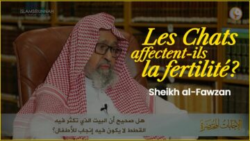 Privé : [ID: Oq8K1xx5zBI] Youtube Automatic