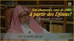 Privé : [ID: 1TKppFcWuq4] Youtube Automatic