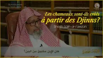 Privé : [ID: 1TKppFcWuq4] Youtube Automatic