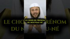 [ID: 0L8l7qECV10] Youtube Automatic