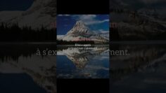 [ID: 7qg58XFKbJY] Youtube Automatic