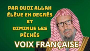 [ID: azD26Y30iFM] Youtube Automatic