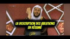 [ID: bIkc-ZbZUB8] Youtube Automatic