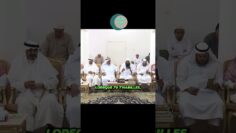 [ID: dEP_ZibkDyk] Youtube Automatic