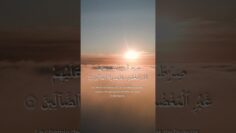 [ID: jXKfD3bu_2Y] Youtube Automatic