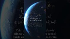 [ID: LLTcGsAdcmc] Youtube Automatic