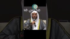 [ID: oWL_7VFej5A] Youtube Automatic