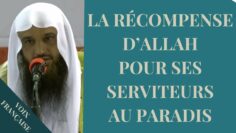 [ID: pExlE8mXrq8] Youtube Automatic