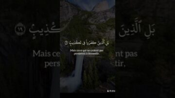 [ID: pQz2FQVFxKQ] Youtube Automatic