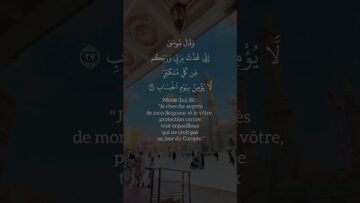 [ID: PzYJ2tYx60k] Youtube Automatic