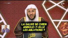 [ID: QSPgtyQz5JI] Youtube Automatic