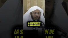 [ID: sApLHQ6MMYE] Youtube Automatic